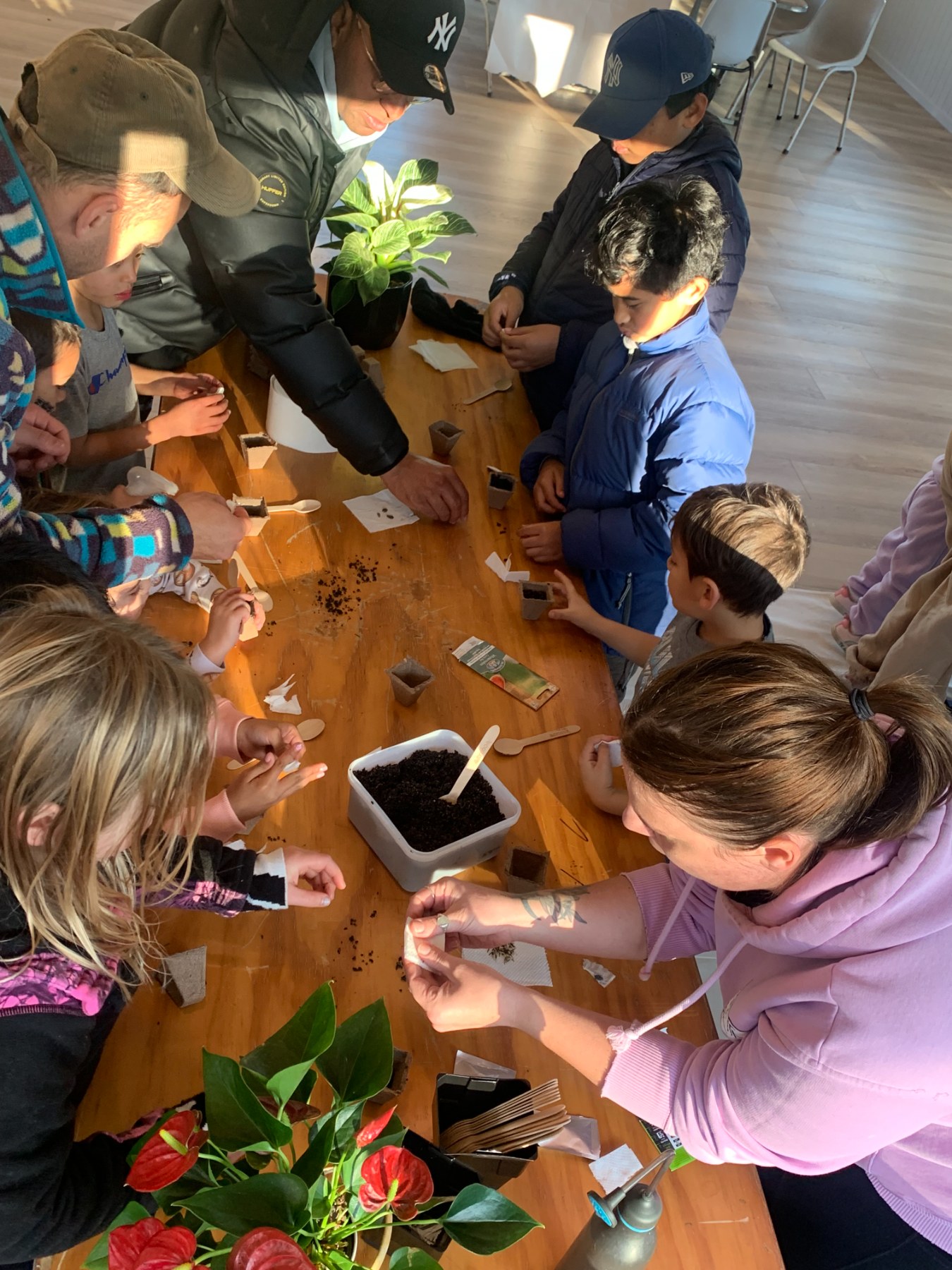 ​Matariki seed germination workshop